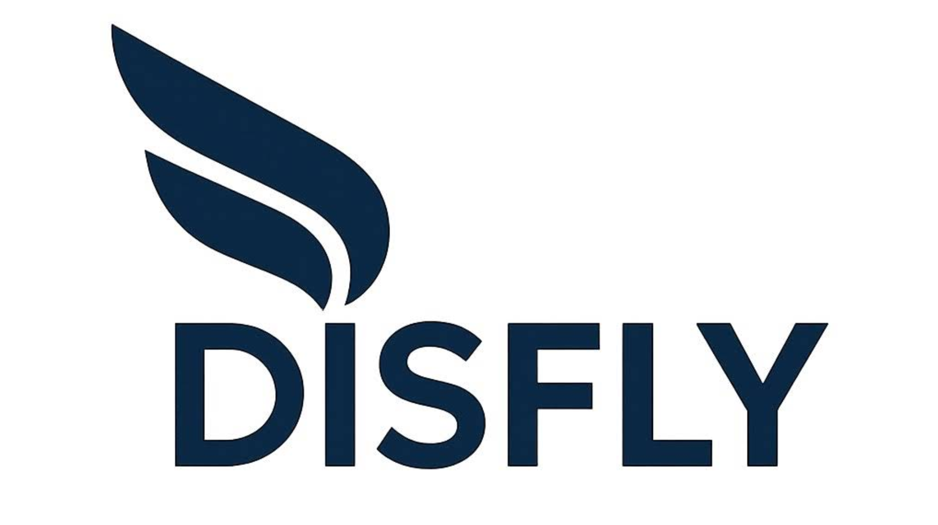 DisFly Logo